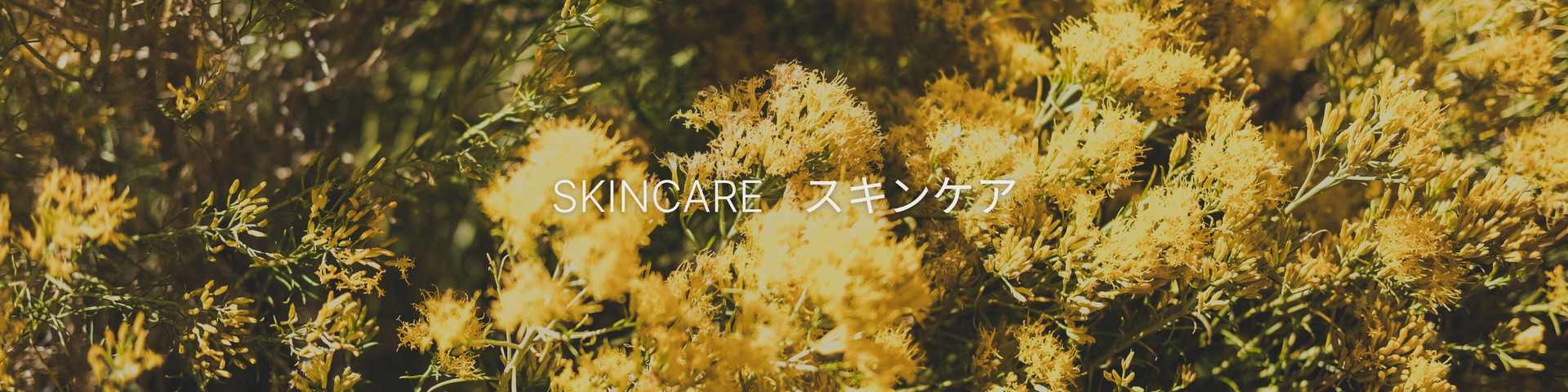 All Products