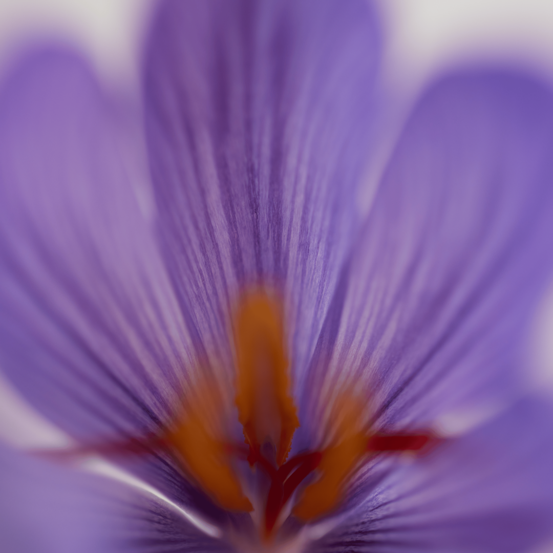 Reward Image 2